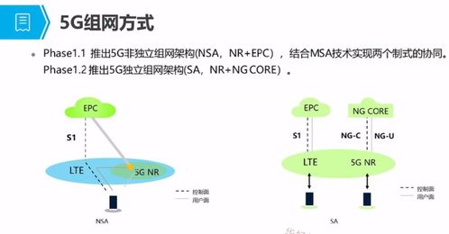 5G培訓應用篇一 5G概述、發展與演進及人體干細胞技術的開發與應用