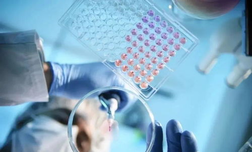 人體為什么需要補充干細胞？——探索干細胞技術的開發與應用